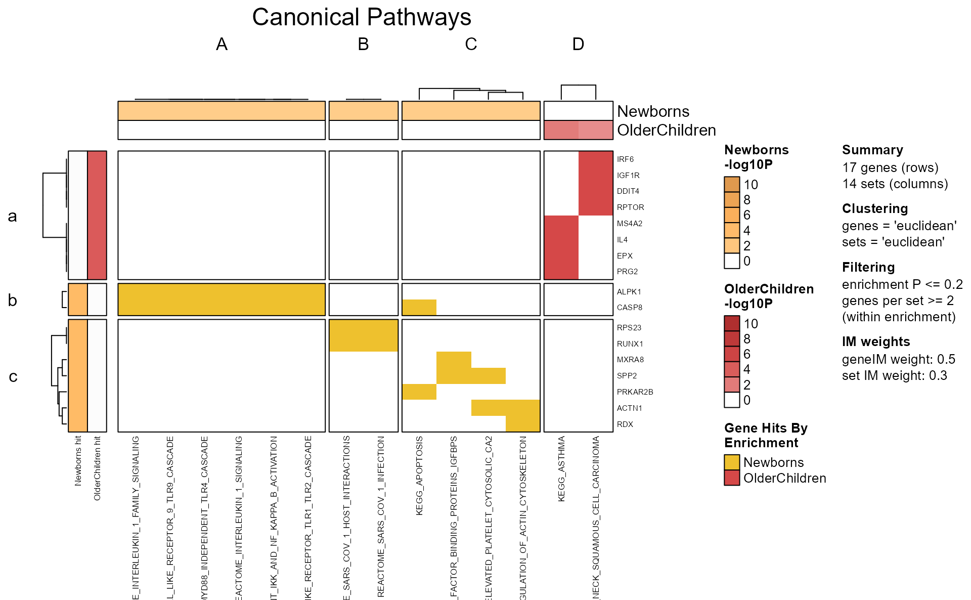 mem_plot_folio, plot 2, Gene-Pathway heatmap