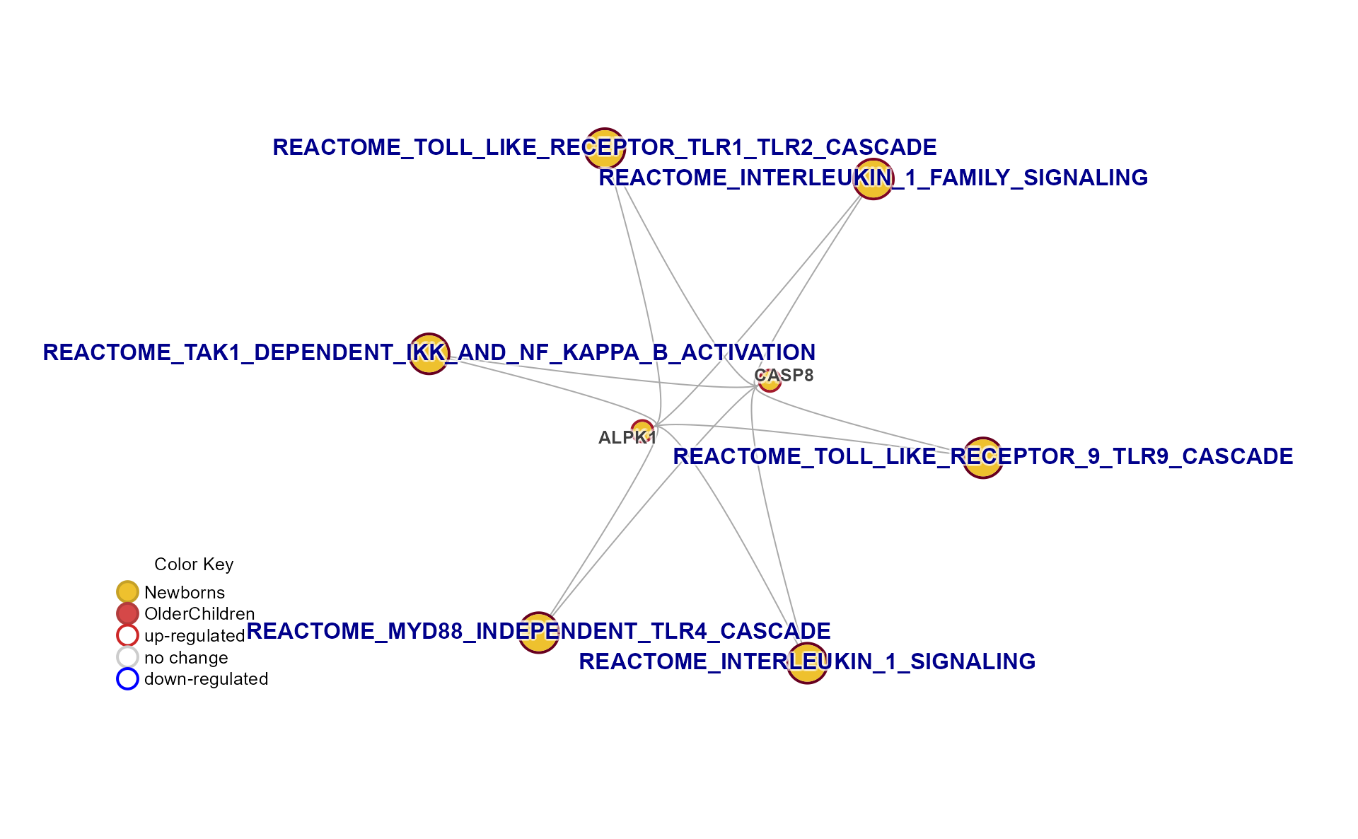 mem_plot_folio, plot 2, Gene-Pathway heatmap