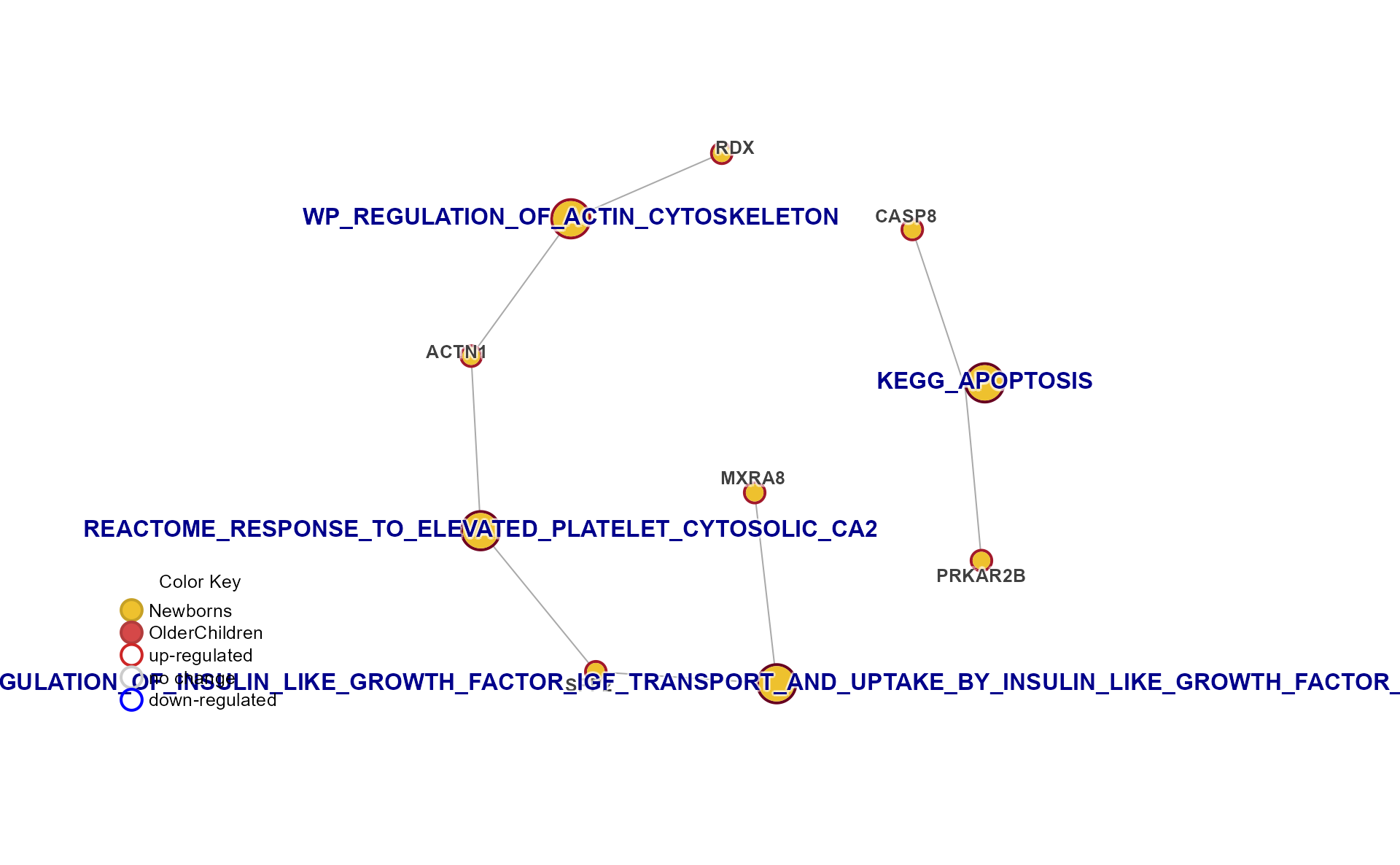 mem_plot_folio, plot 4, Cnet plot with Cluster Summary Labels