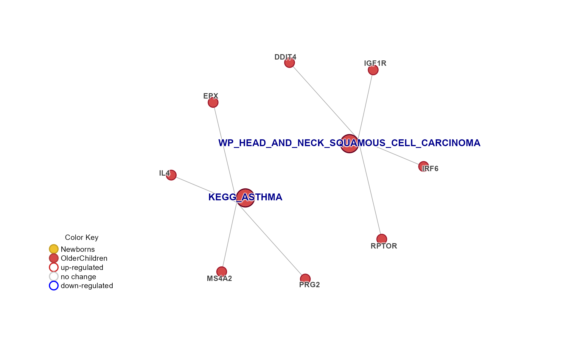 mem_plot_folio, plot 1, enrichment heatmap