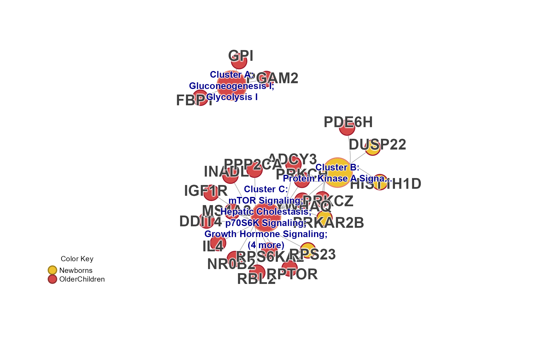 Cnet collapsed network extracted from mem_plot_folio() to use for custom figures.