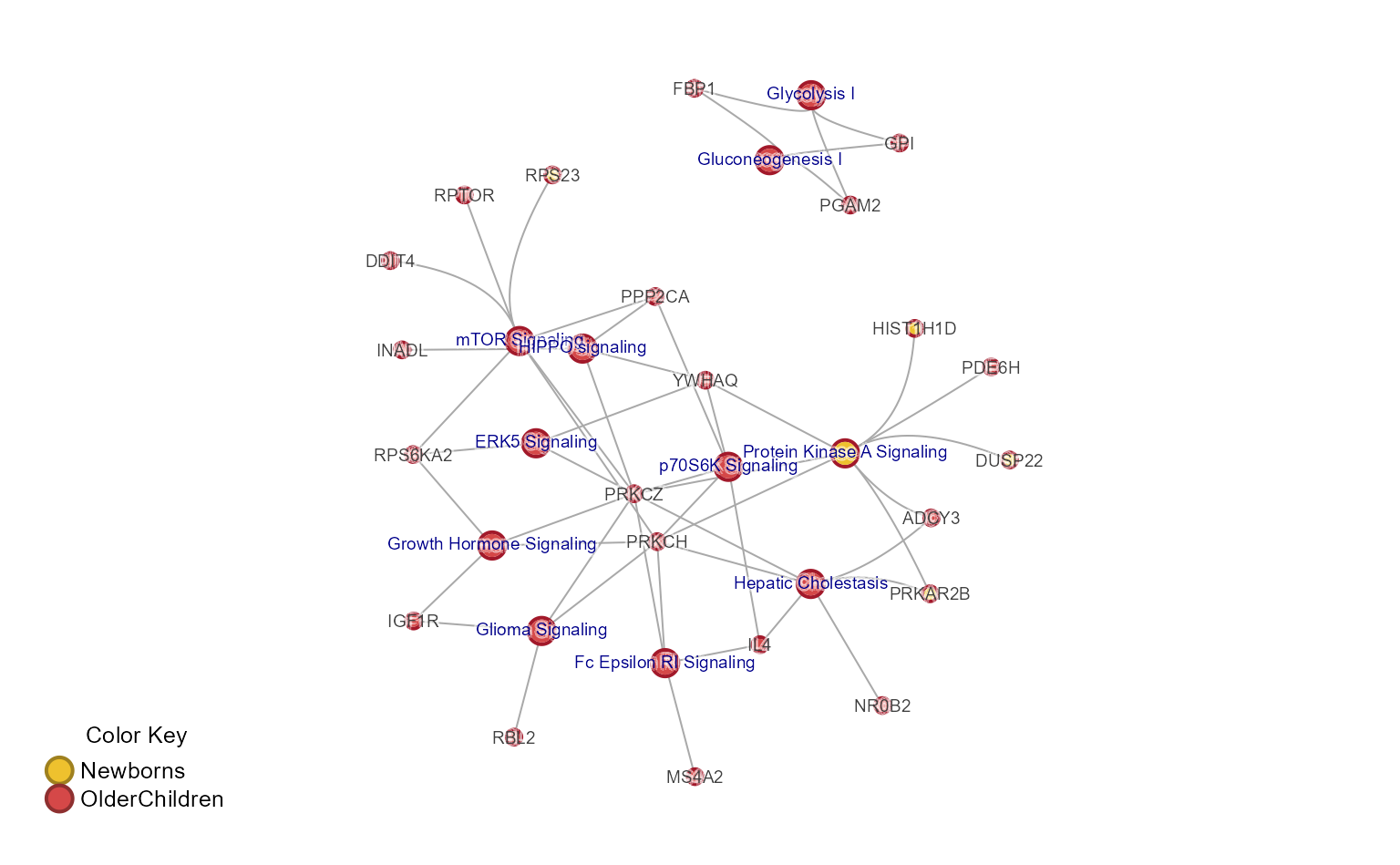 Full Cnet plot, for all pathways and genes.