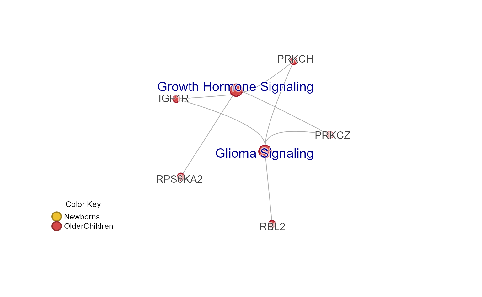 Cnet plot showing a specific Cnet cluster.