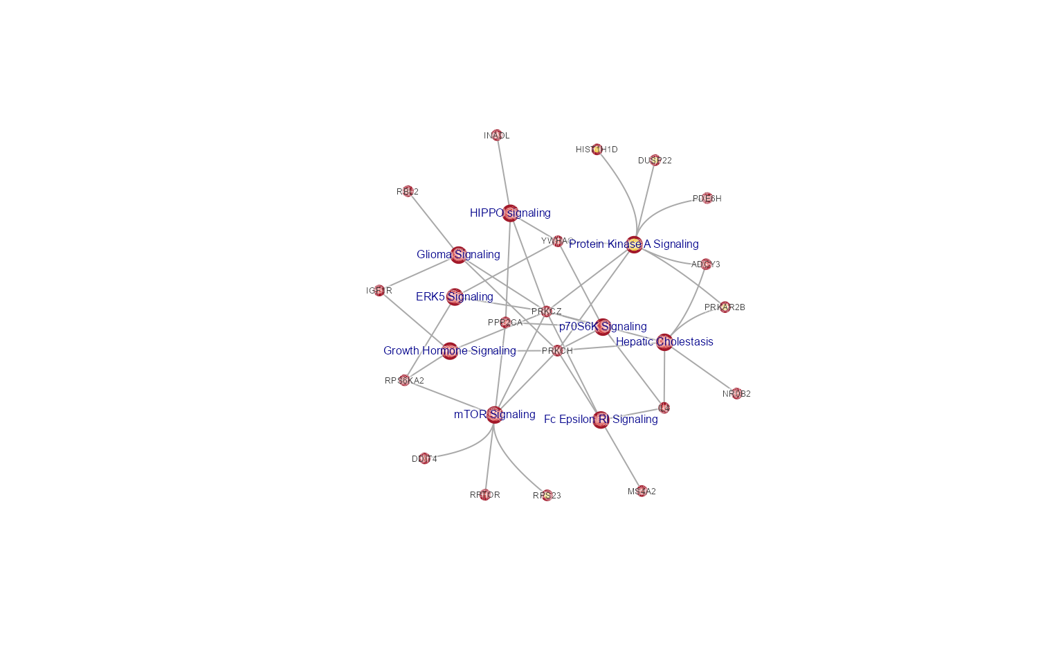 Cnet plot showing the largest connected sub-network.