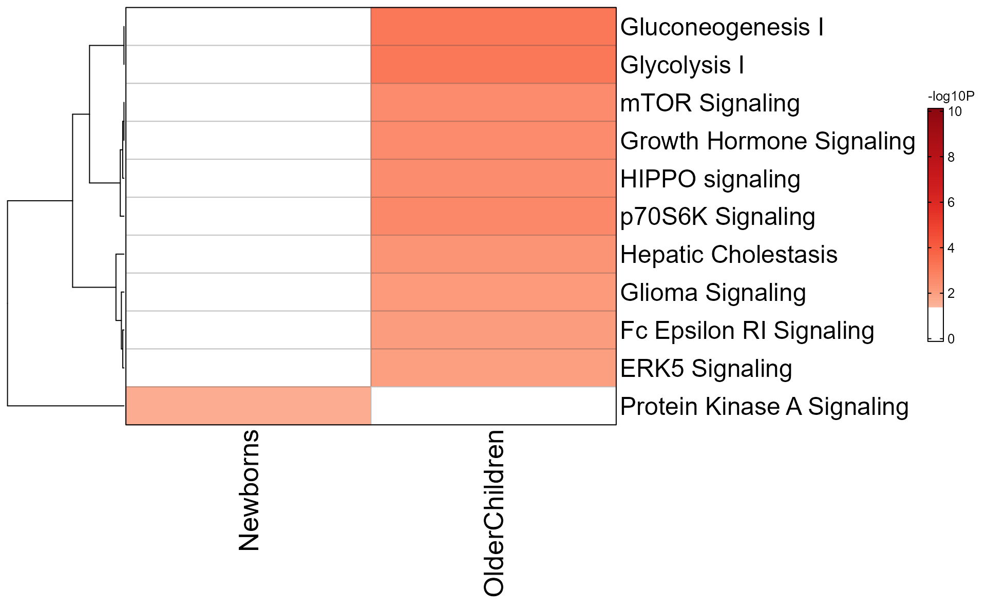 Enrichment heatmap showing the heatmap style, without dot plot.