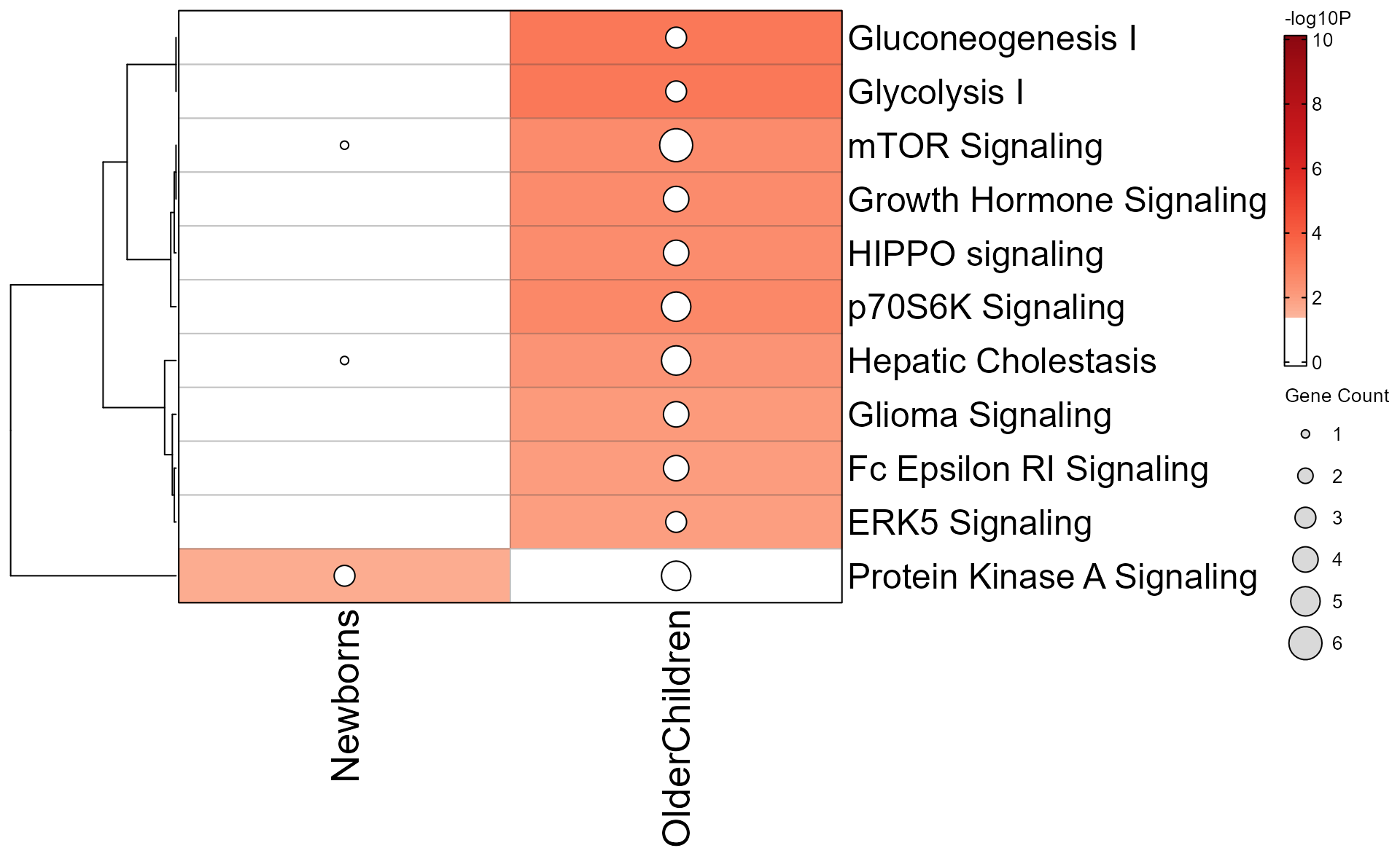 Enrichment heatmap shown as a dotplot to indicate the number of genes involved.