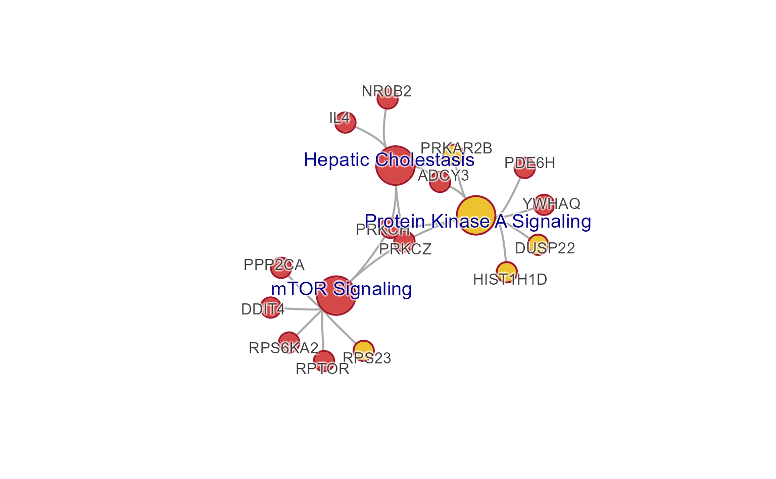 Network plot created using jam_igraph() as an enhanced alternative to the default igraph plot function.