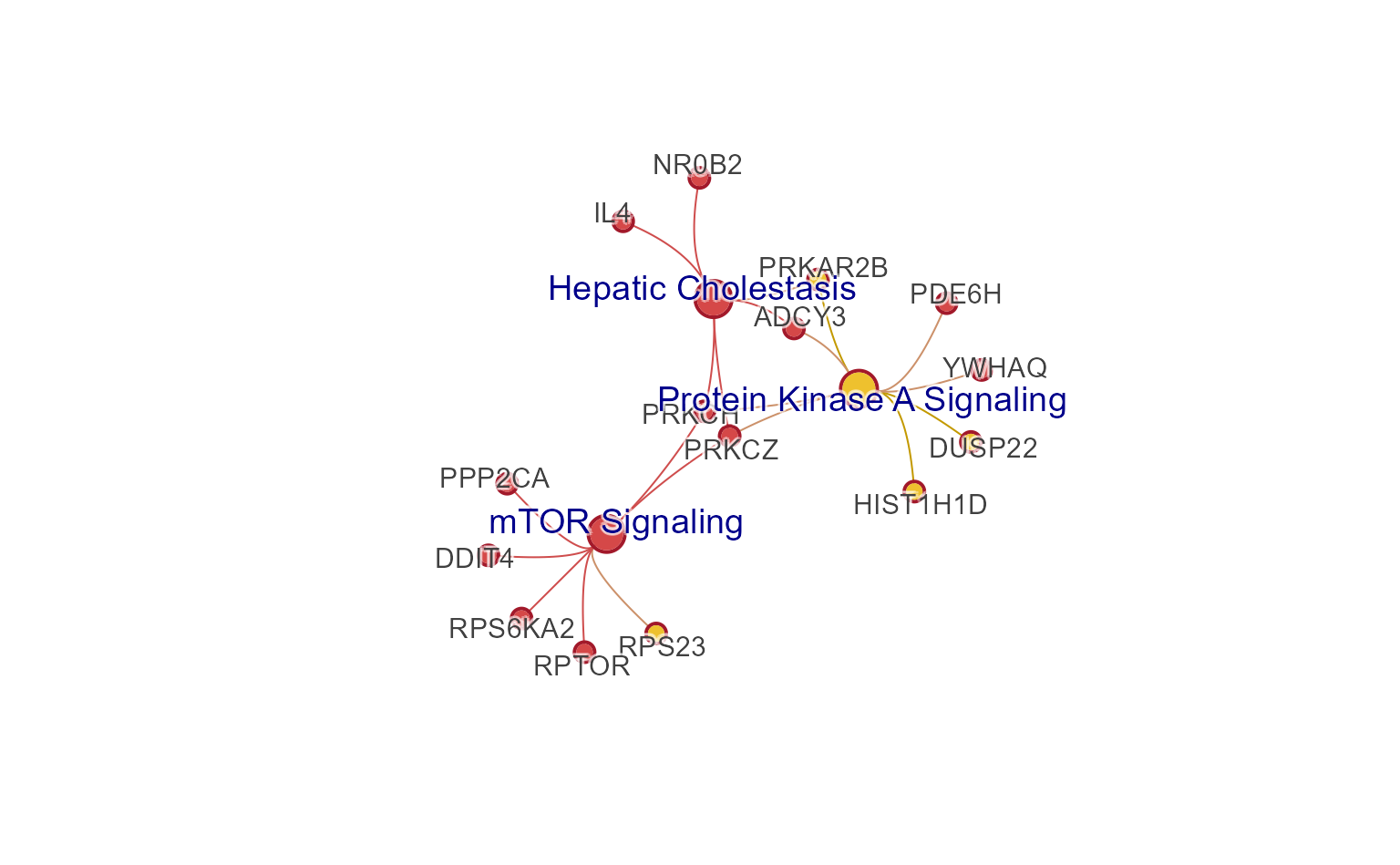 Network plot is shown using edges colorized based upon the colors for the connected nodes.