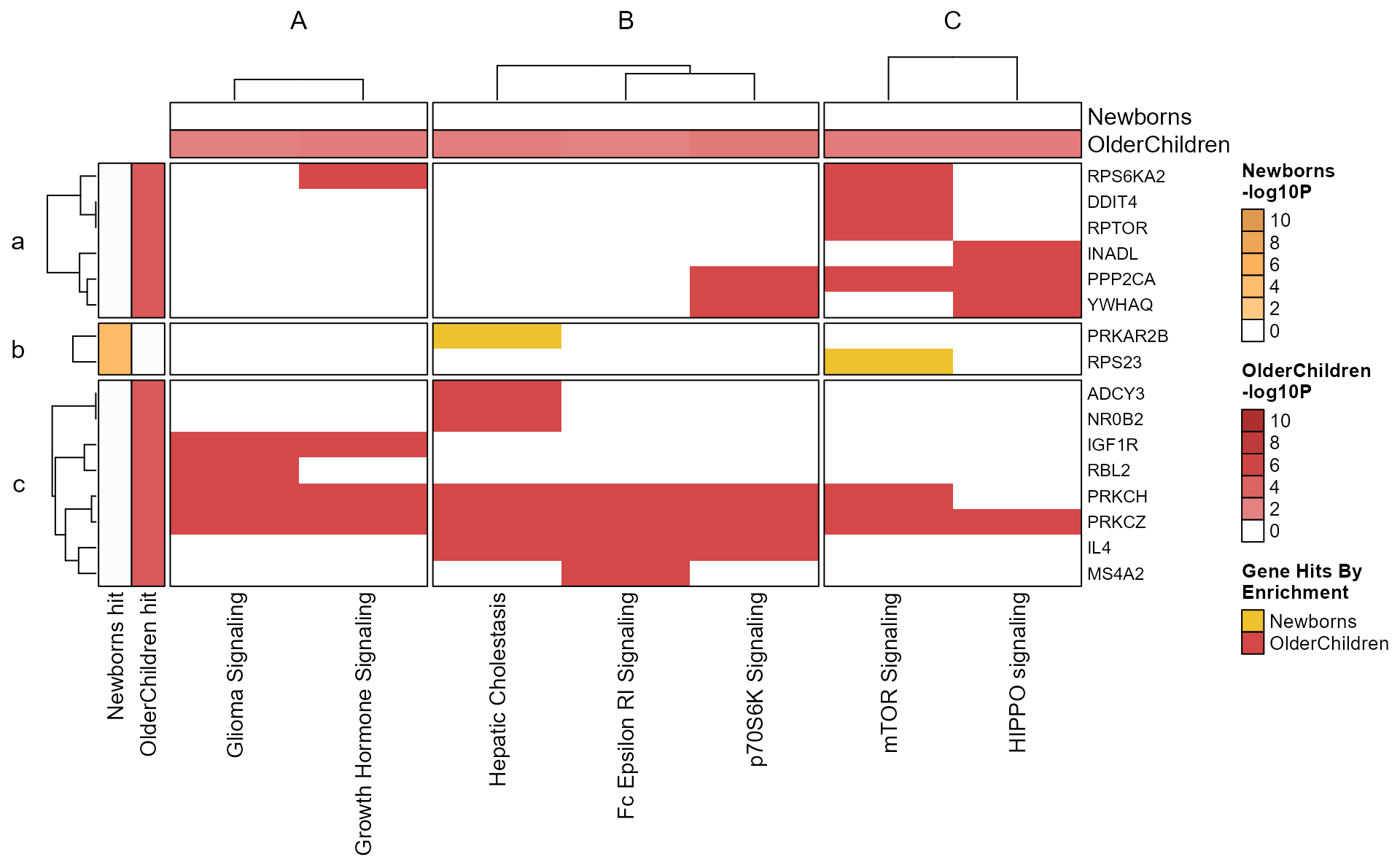 Gene-pathway heatmap drawn specifically with mem_gene_path_heatmap().