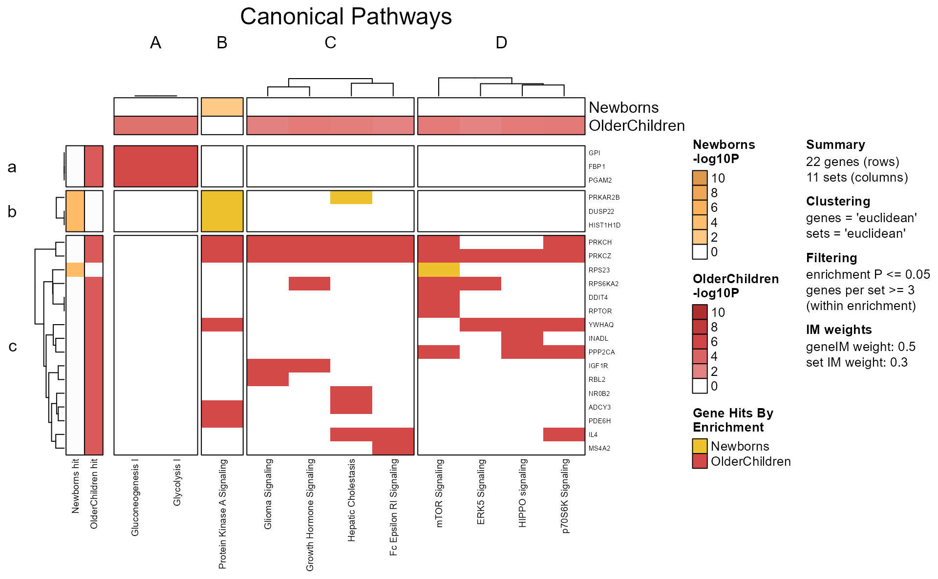 Gene-pathway heatmap drawn specifically with mem_gene_path_heatmap().