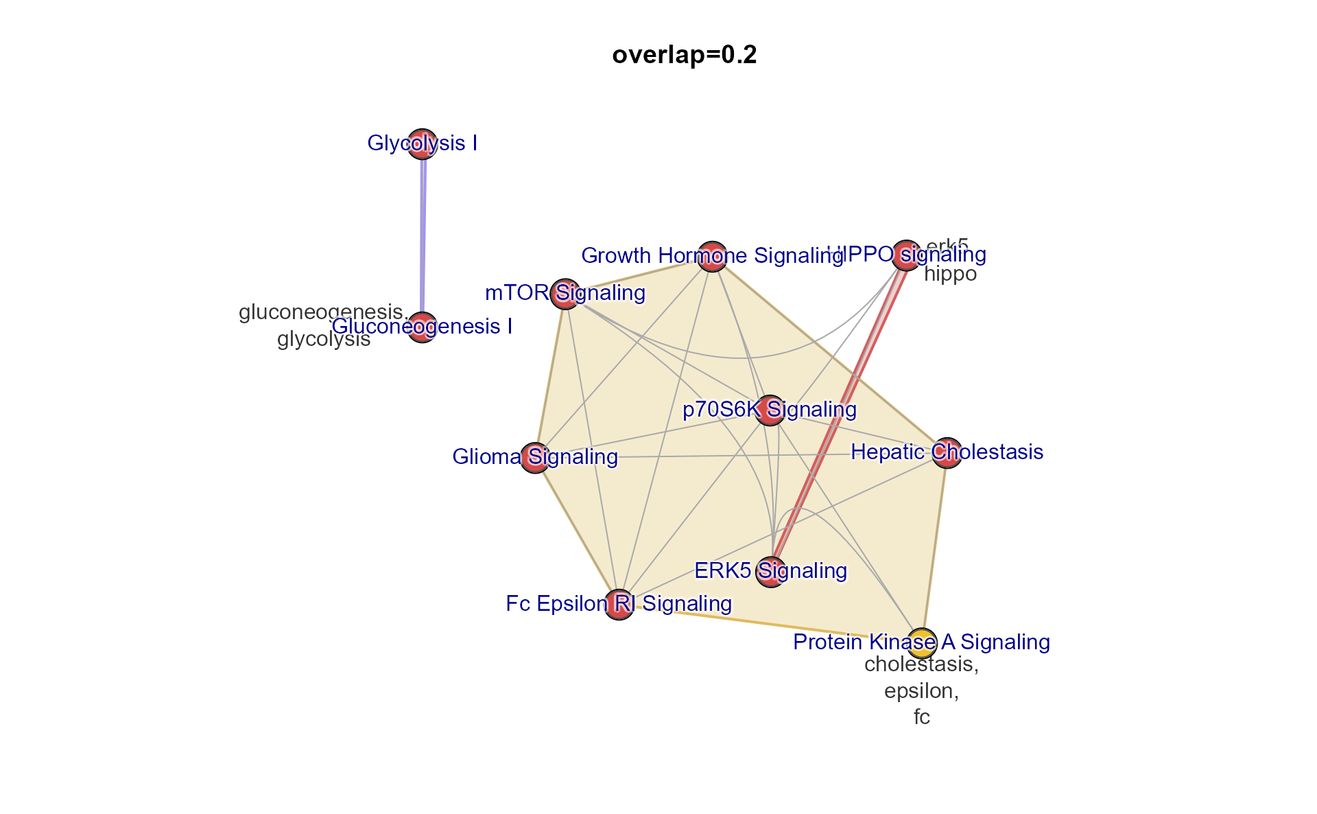 Multi-enrichment network creating using mem2emap(), using the default overlap threshold 0.2.