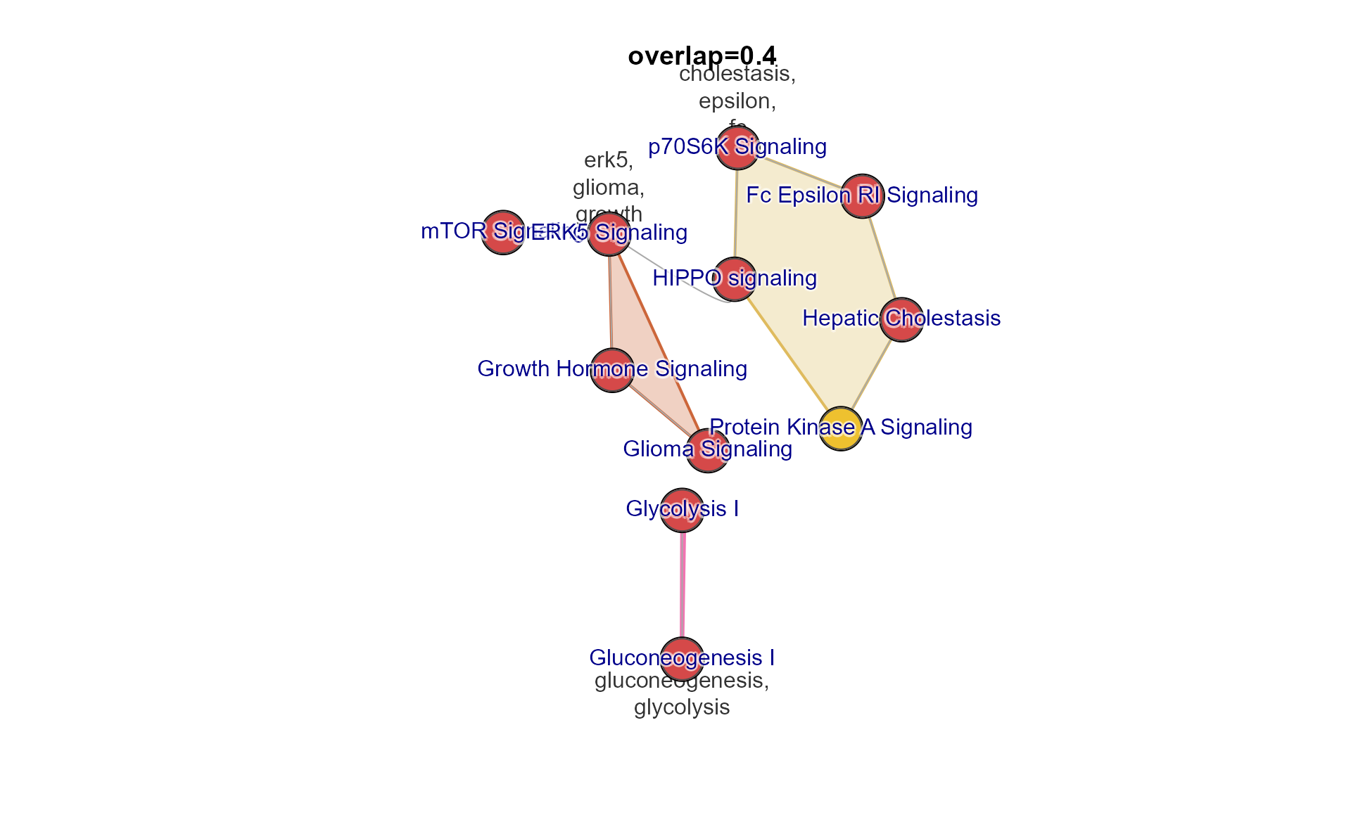 Multi-enrichment network shown after using alternative overlap threshold.