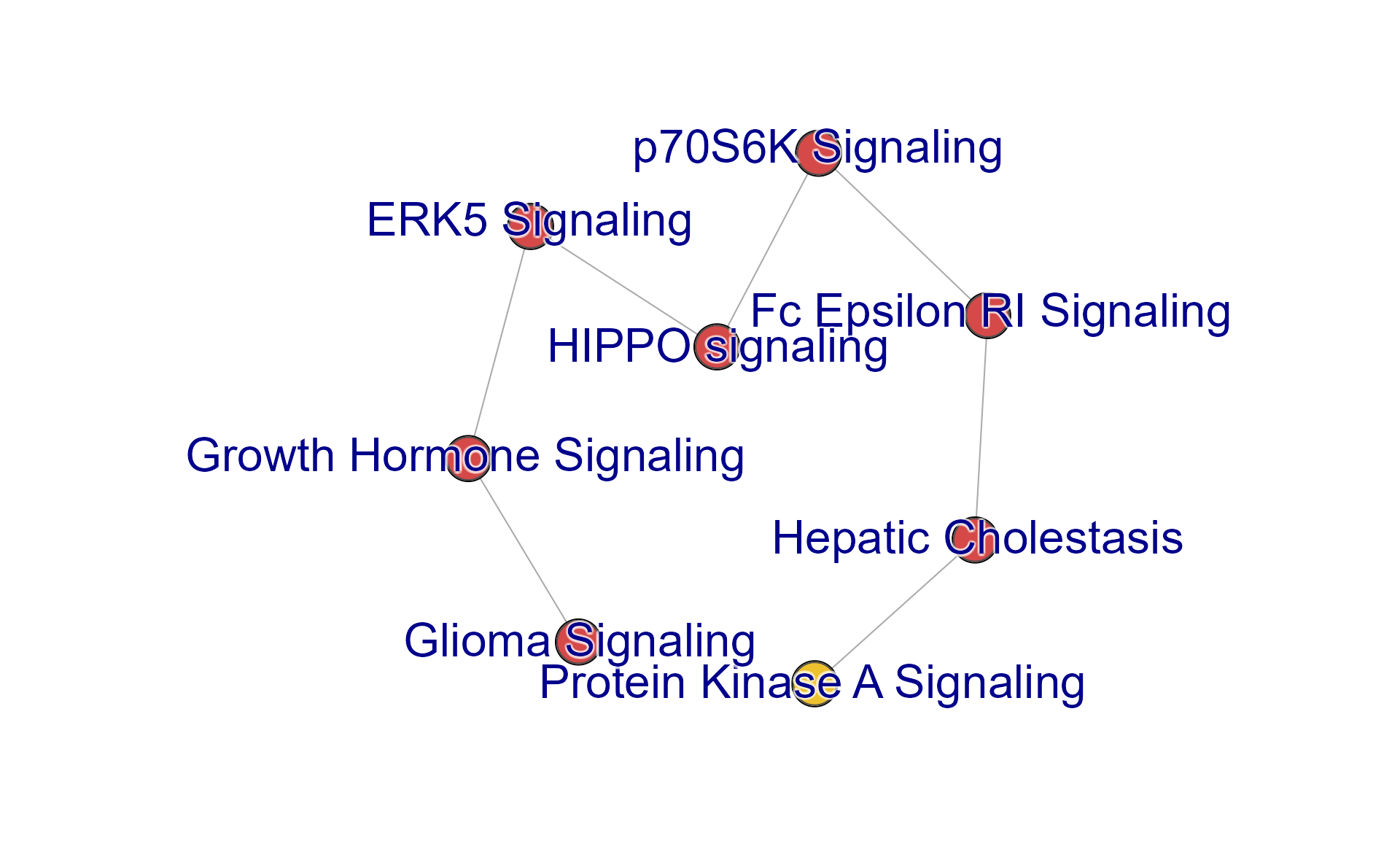 Network plot showing the largest connected sub-network of the multi-enrichment network.
