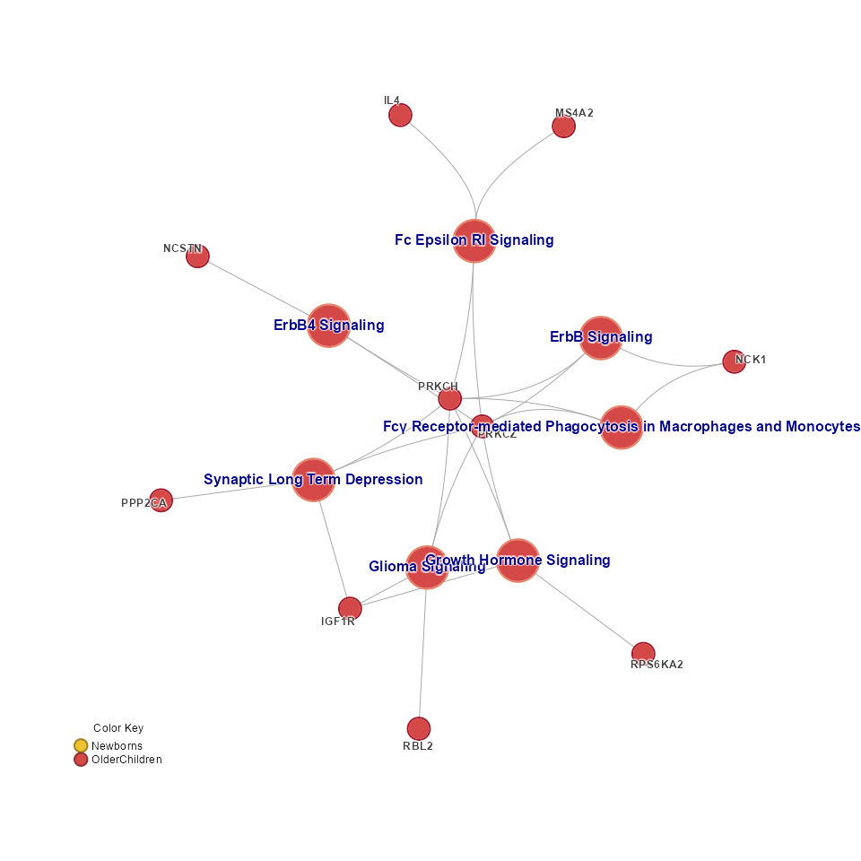 Concept network (Cnet) showing all pathways from the pathway cluster 'C'.