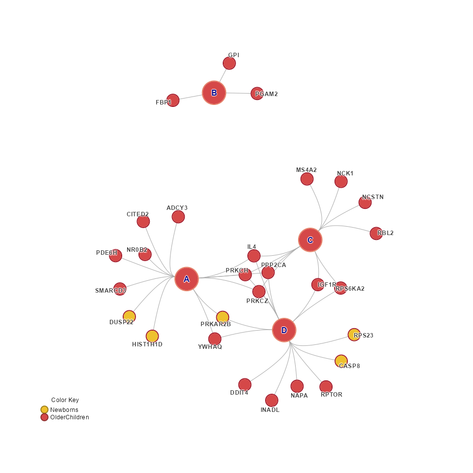 Concept network (Cnet) with pathways collapsed by cluster.