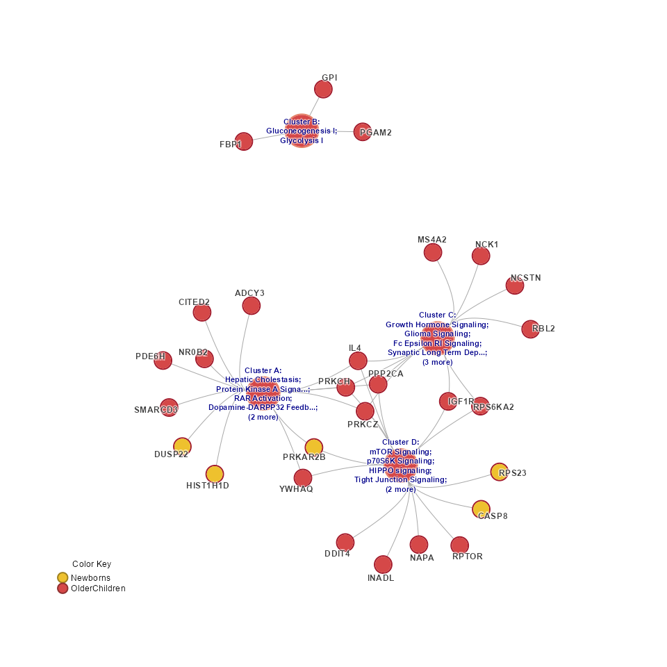 Concept network (Cnet) showing pathways collapsed by set, using pathway names for each cluster label.