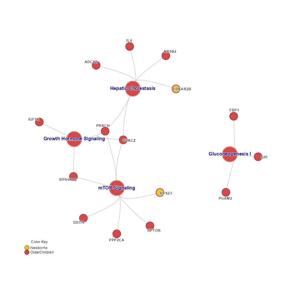 Concept network (Cnet) showing one exemplar pathway to represent each pathway cluster.