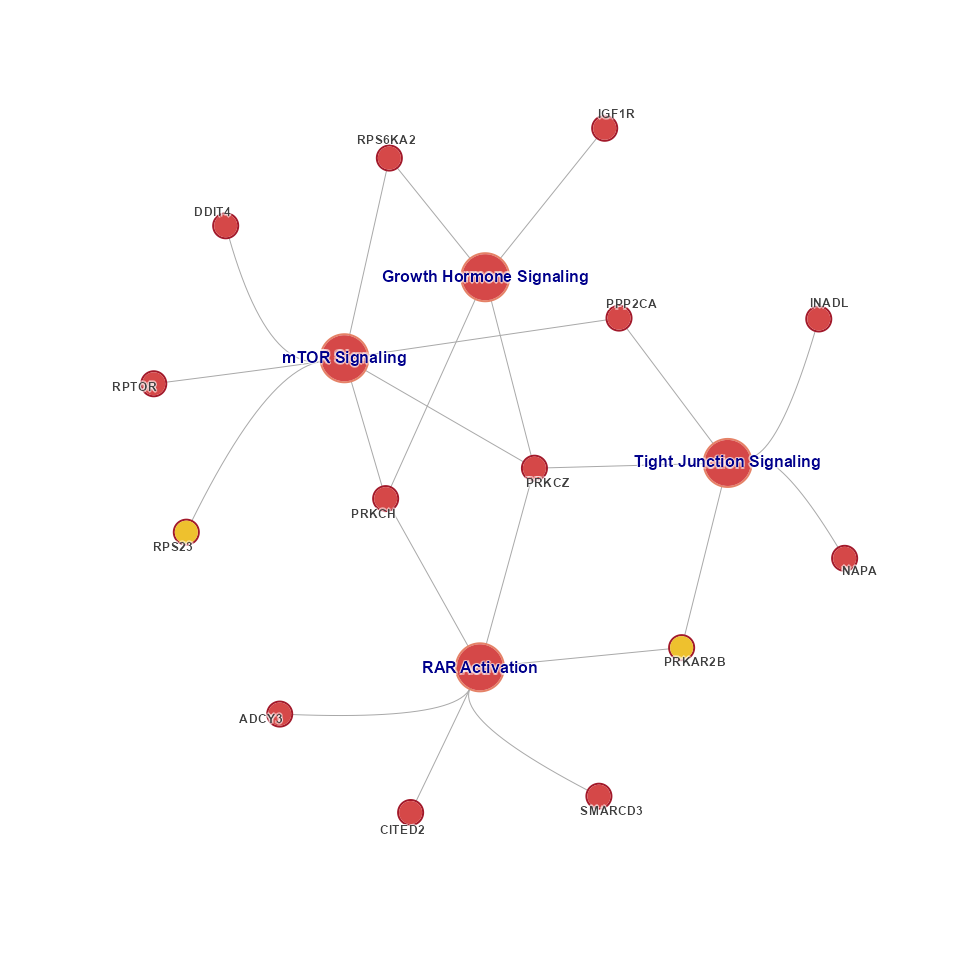 Concept network (Cnet) showing a custom subset of exemplar pathways chosen by the scientist.