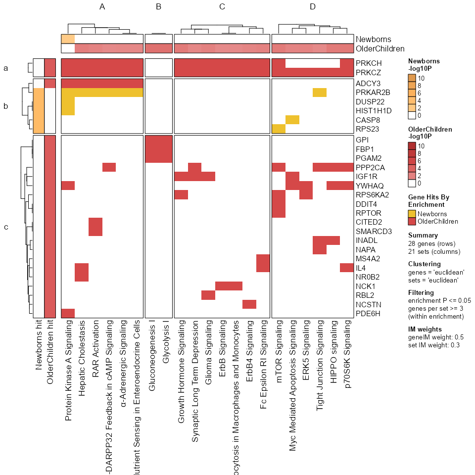 Heatmap with gene-versus-pathway incidence matrix.