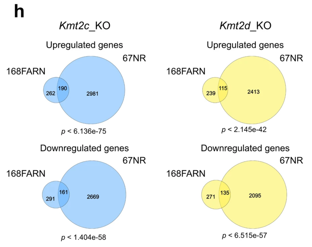 Target Extended Figure 4h from Seehawer et al 2024.